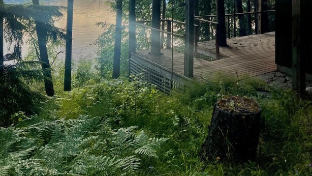 A wooden deck overlooking a lake, surrounded by tall trees and a clear sky. - Beautiful Private Lakefront Home (Riondel)