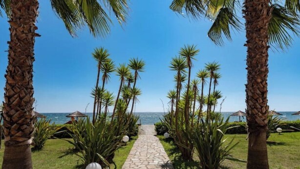 A pathway leading to a beach with palm trees and a clear sky. - Vacances EN Corse (San-Nicolao)
