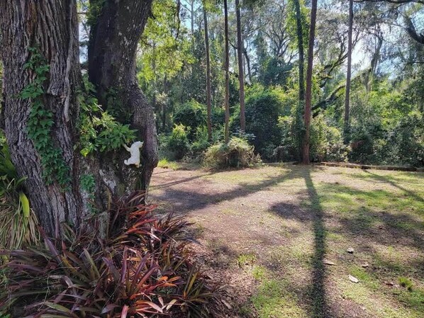 Àrea exterior de l'allotjament