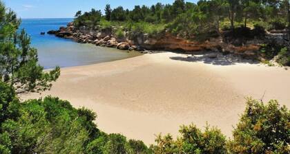 "cala Almendrita" Appartement 2 Chambres + Rooftop