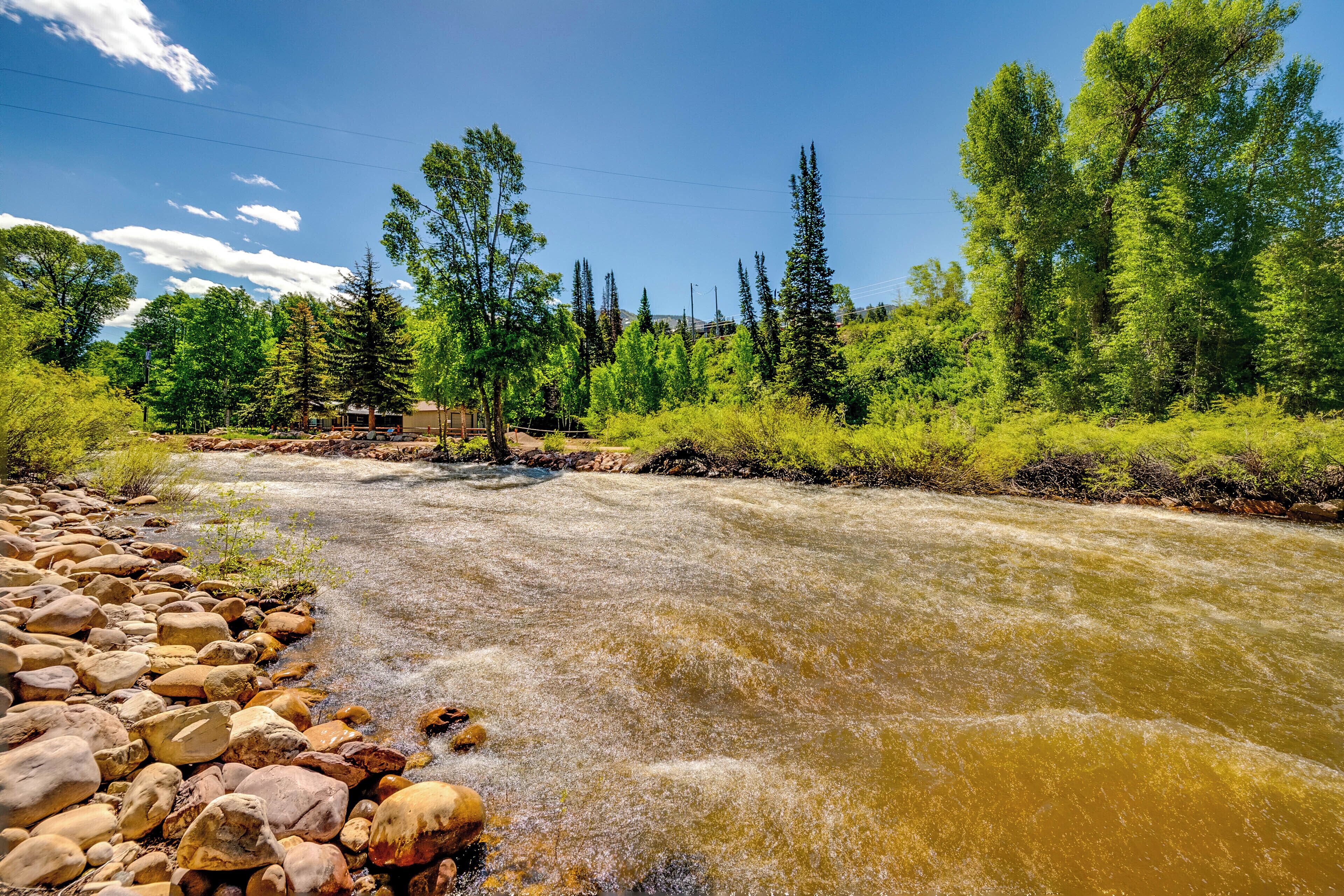 A river flowing through a forested area with rocks along the banks.