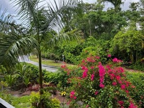 Property grounds - NAPLES BATH AND TENNIS Condo 2BEDS/2BATH -- Central Naples (Naples)