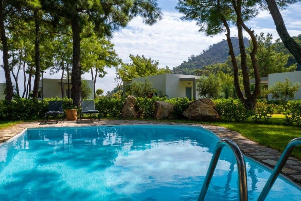 A swimming pool with a clear blue water, surrounded by greenery and trees.