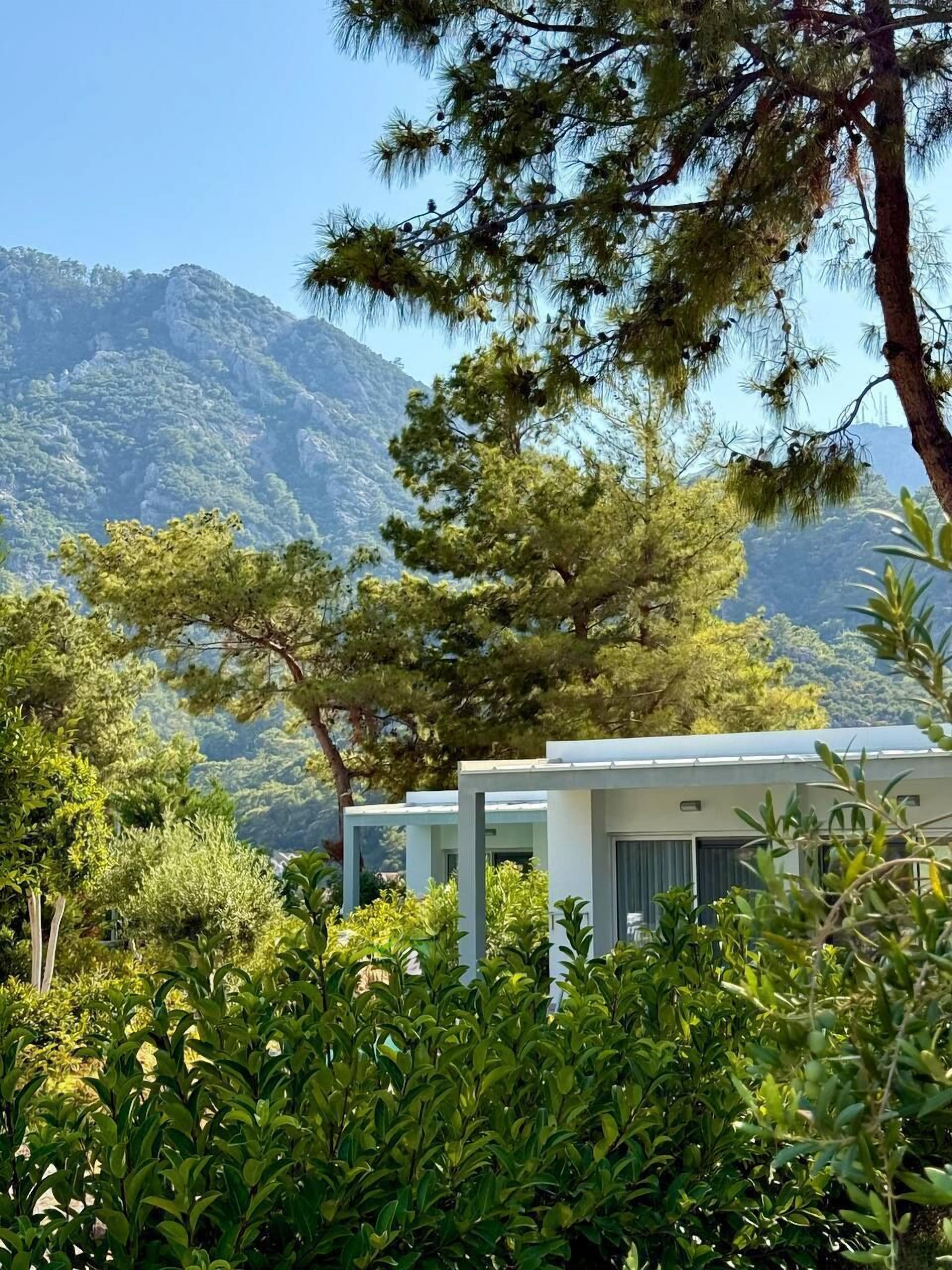 A modern building with a mountain backdrop, surrounded by lush greenery.