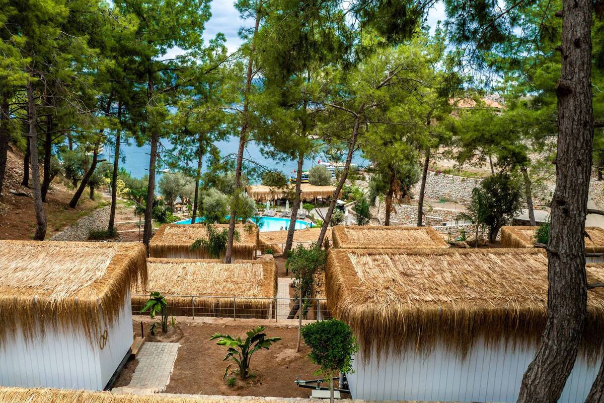 A resort with thatched-roof huts by a pool, surrounded by pine trees and a view of the sea.