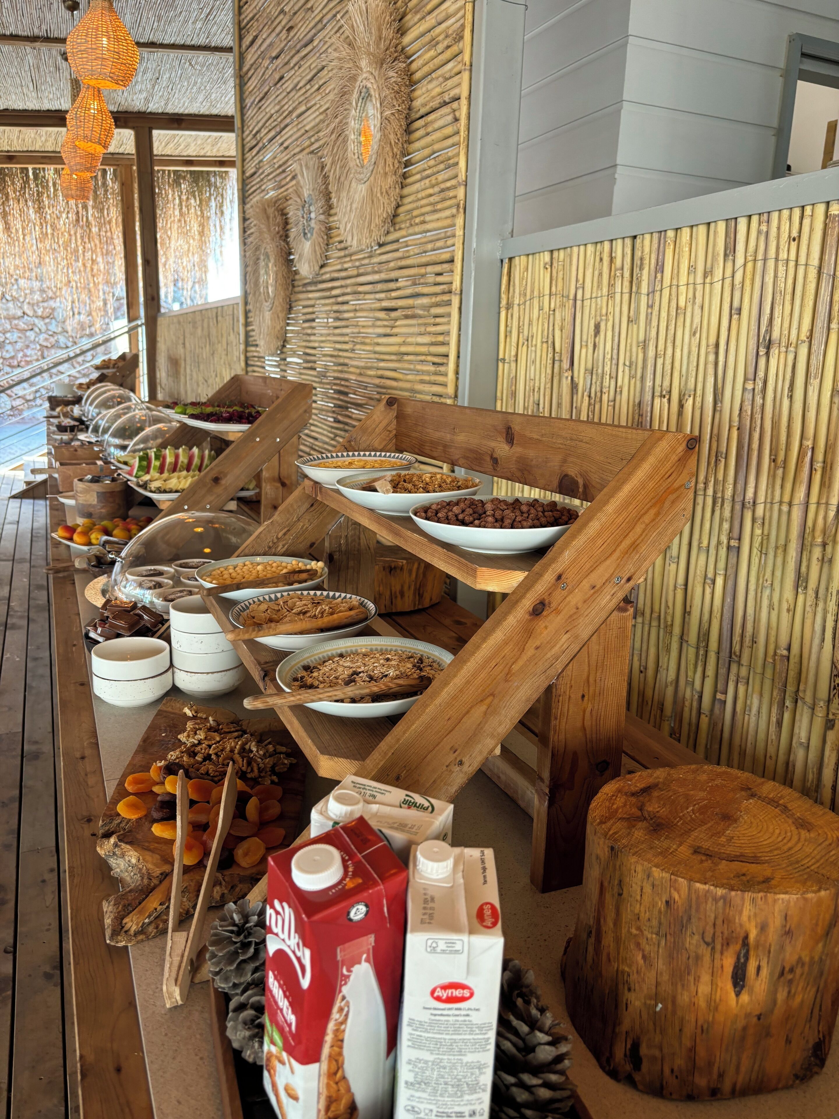 Montaje de bufé con diversos alimentos y bebidas, que incluyen frutas, frutos secos y productos lácteos, dispuestos en mesas y bancos de madera.