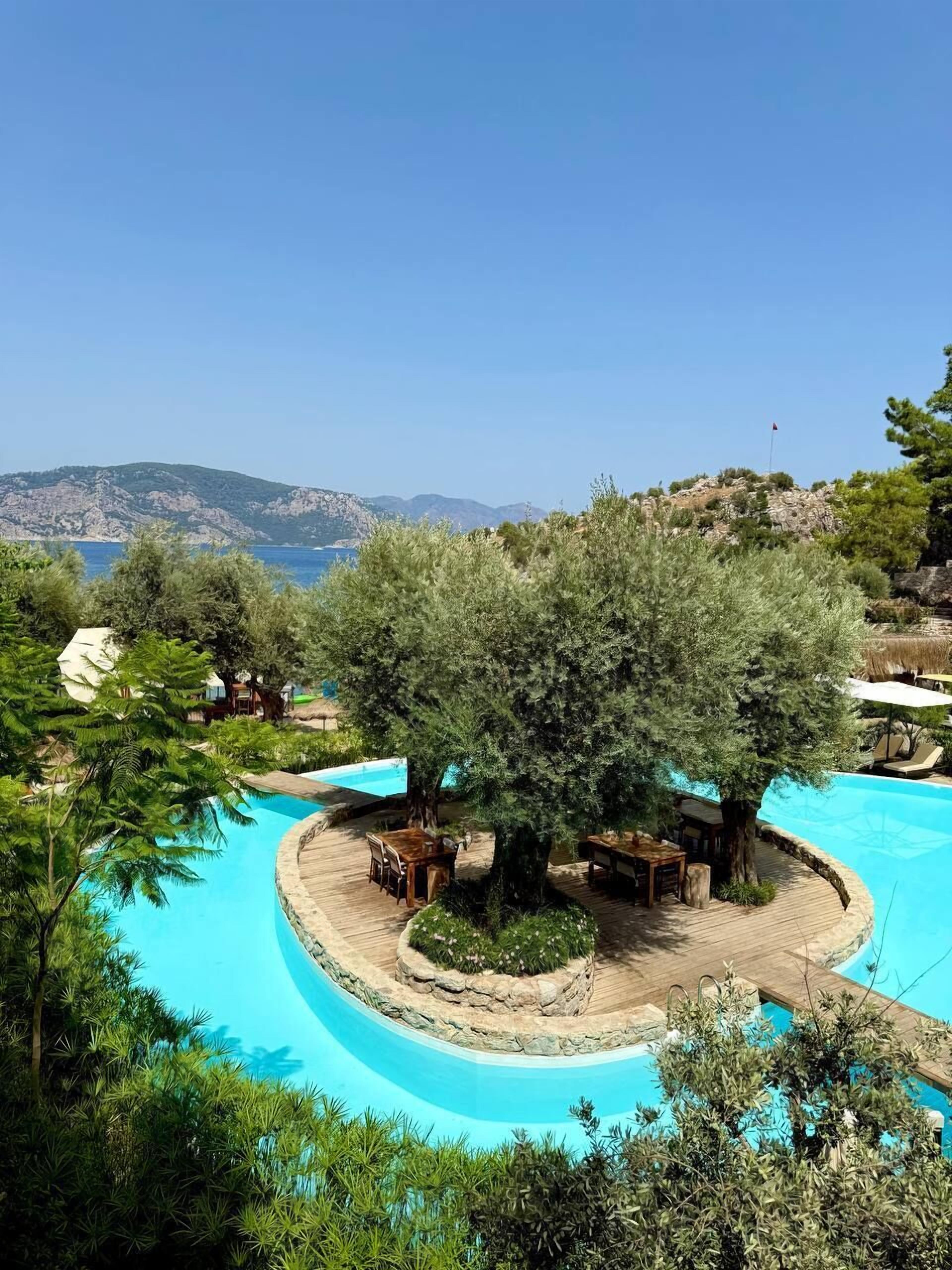 Seasonal outdoor pool, pool umbrellas, sun loungers