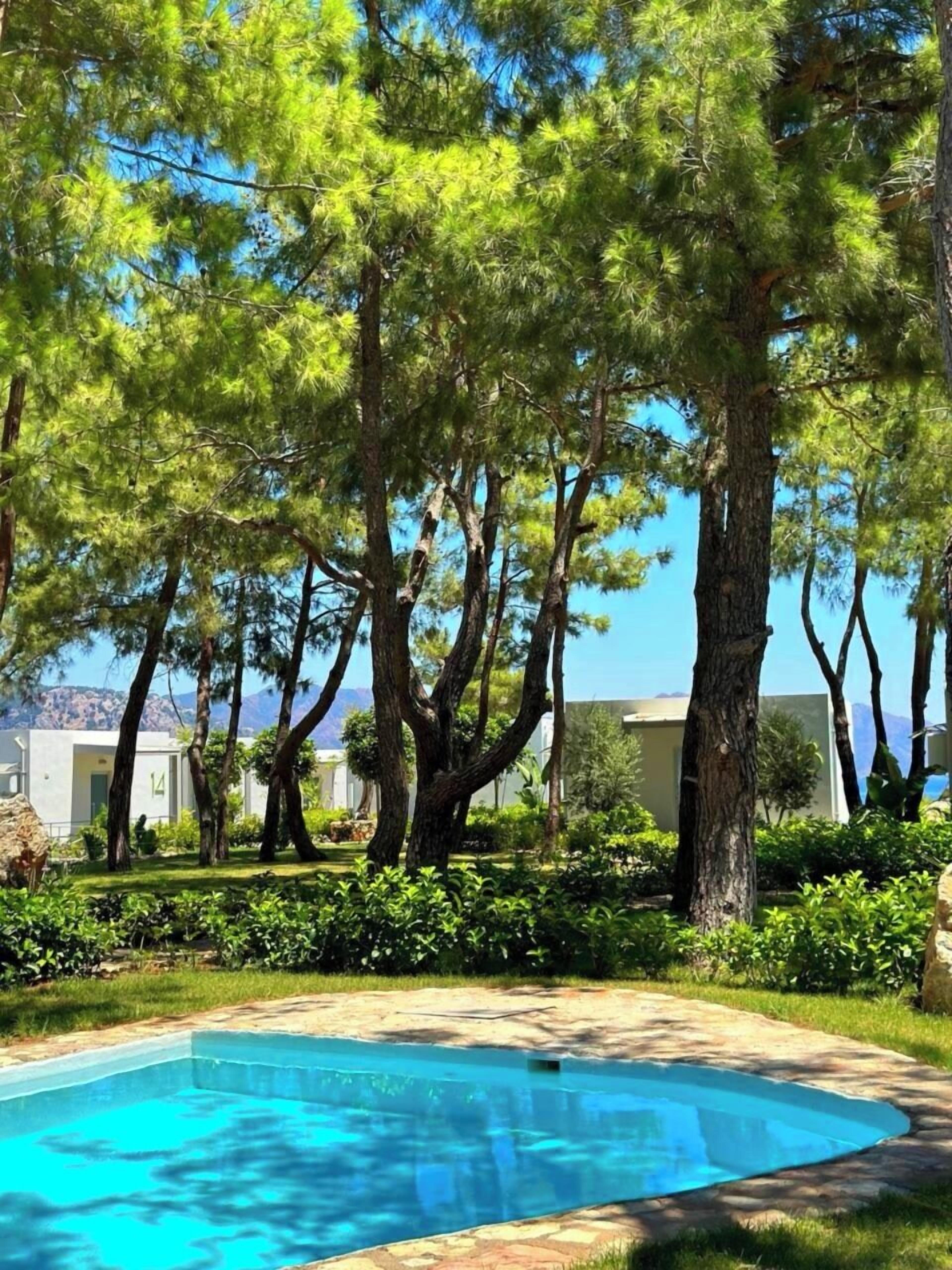 Una piscina circondata da vegetazione lussureggiante e alberi, con vista su edifici sullo sfondo.