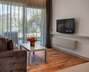 40-inch Smart TV with satellite channels