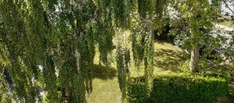 Appartement Lumineux AU Sein D'une Maison DE Caractere