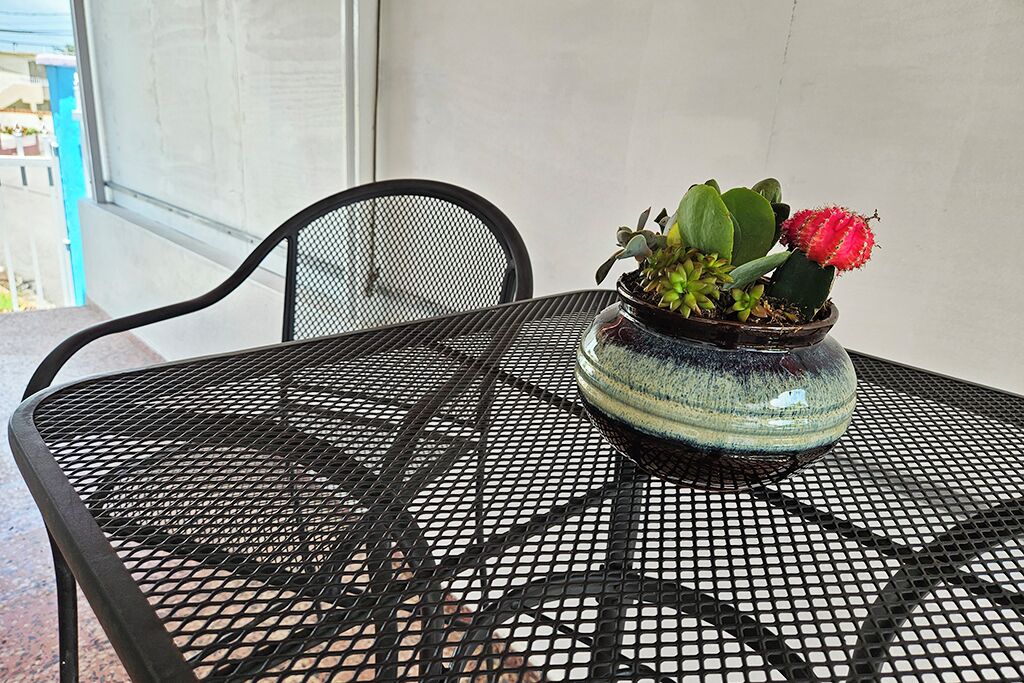 Uma mesa de metal com uma planta em vaso.