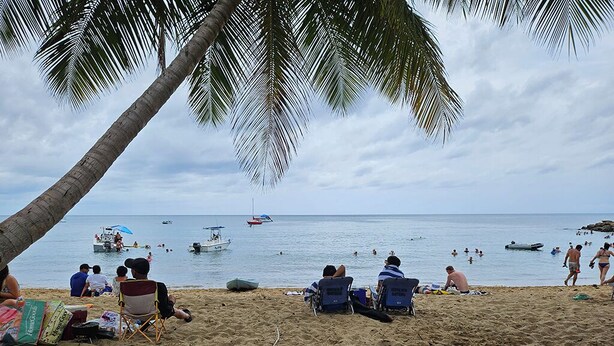 Ein Strand mit Menschen, die in der Sonne entspannen, Booten im Wasser und einer Palme.