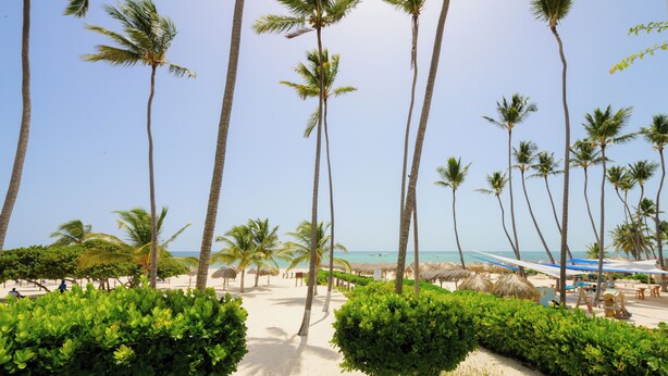 A beach with palm trees, a sandy path, and beach umbrellas. - Just  few steps from Beach, Enjoy a Sunrise in this Wonderful place (Punta Cana)