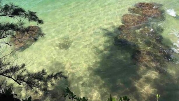 A clear view of a beach with calm waters and visible underwater rocks.