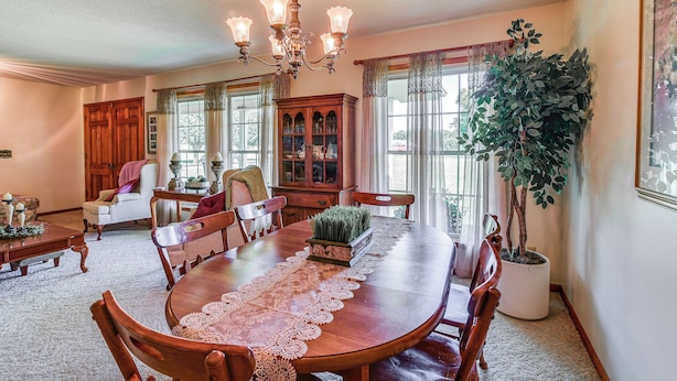 A dining room with a wooden table, chairs, a chandelier, and a large potted plant.