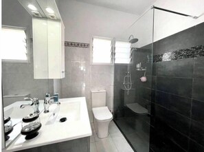 Shower, hair dryer, towels, soap