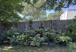 Property grounds - A Cozy, Botanical Getaway + A Spectacular, Historic and Quaint Newport Visit (Narragansett)