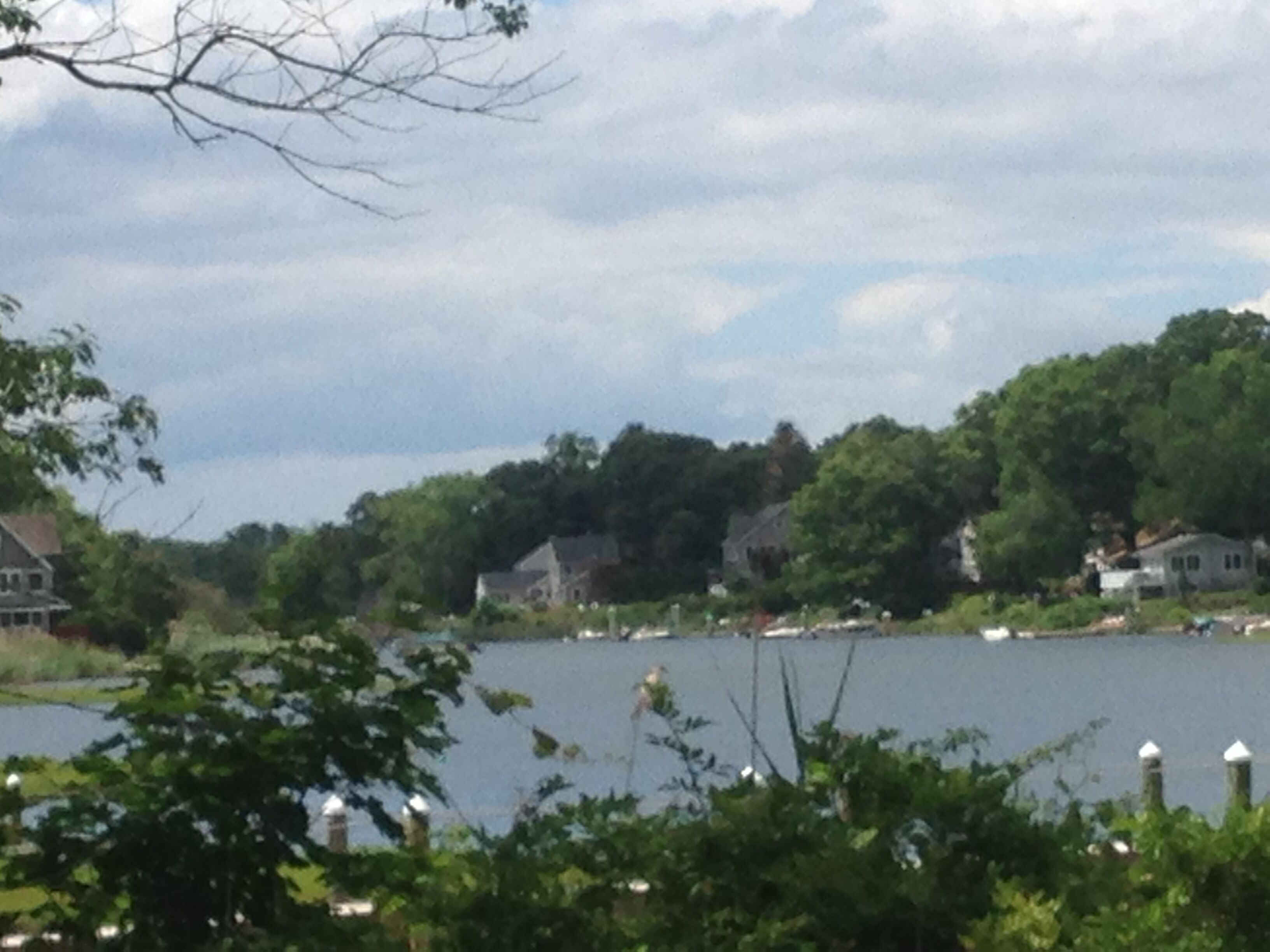 A lakeside view with houses and greenery.