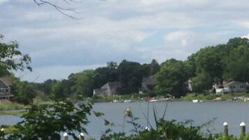 A lakeside view with houses and greenery.