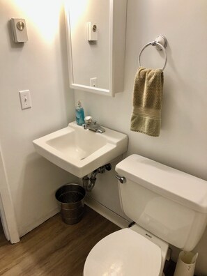 Hair dryer, towels, soap, shampoo - Discount: Graduation Celebrations, Newport Visits and Beach Vacas!  Pet-Friendly (Narragansett)