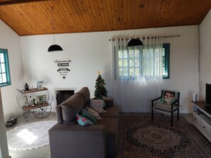 Smart TV, fireplace, video-game console