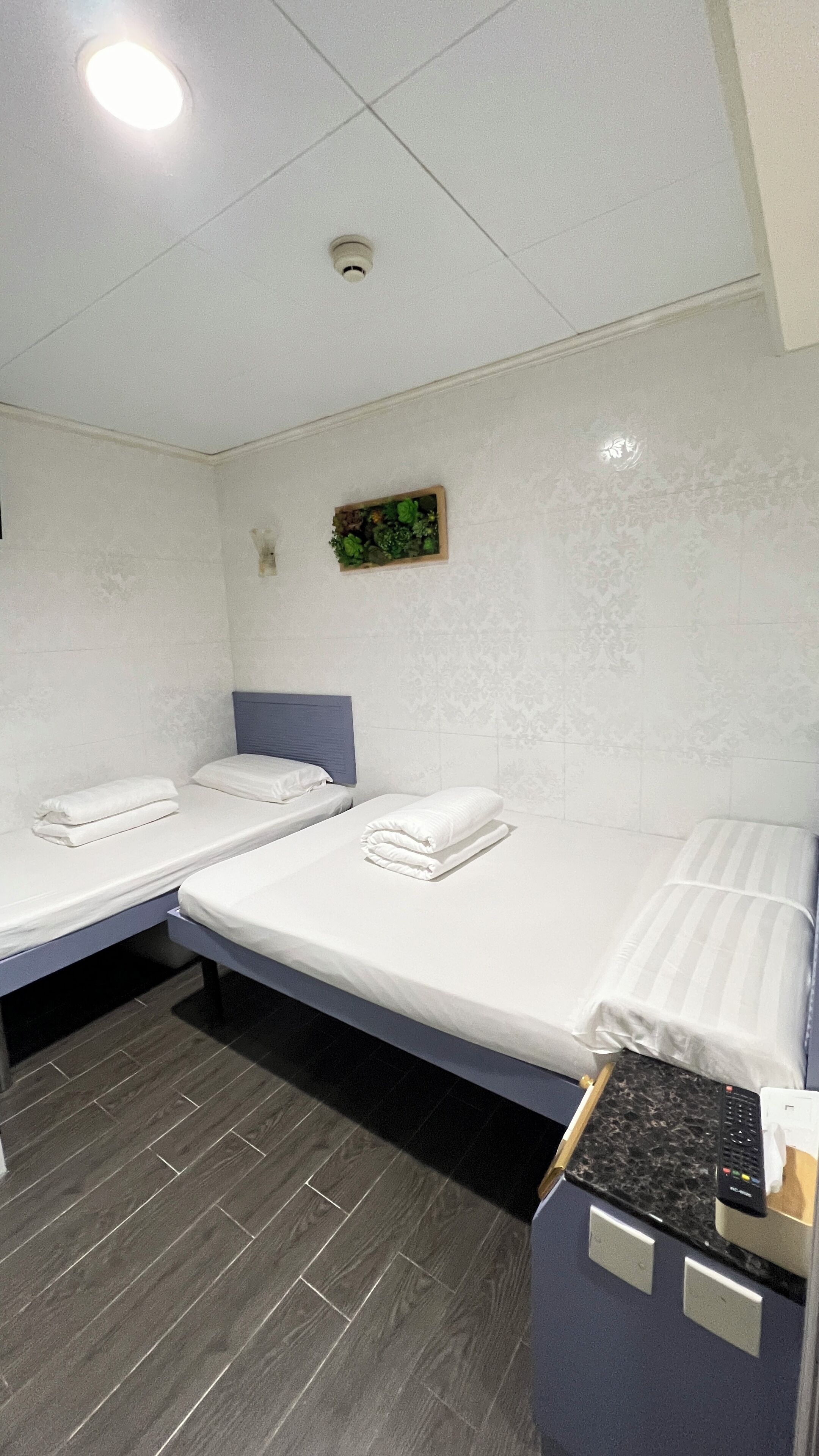 A hotel room with two single beds, a small desk with a computer, a wall-mounted plant, and a ceiling light.