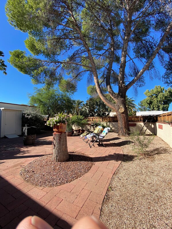 Property grounds - Mission style home in the center of Green Valley.  (Green Valley)