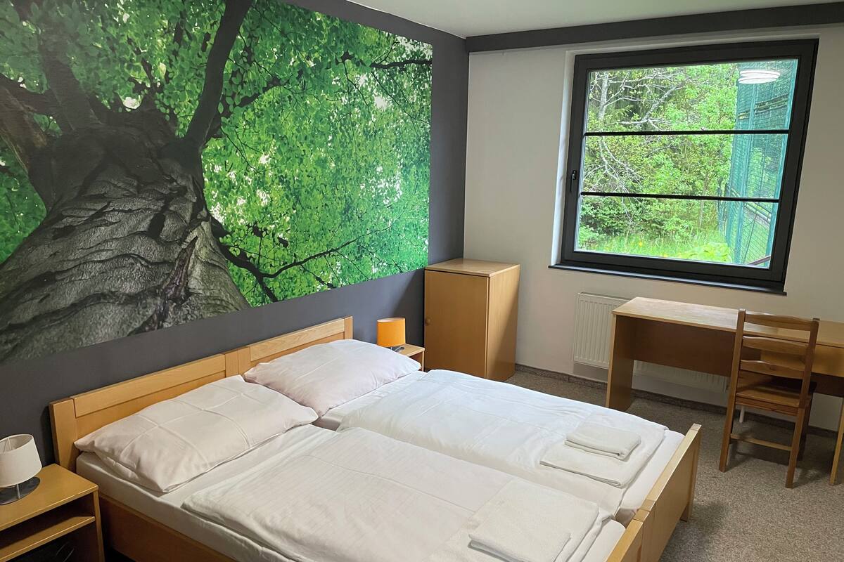 Une chambre à coucher avec un lit, un bureau et une grande fenêtre.