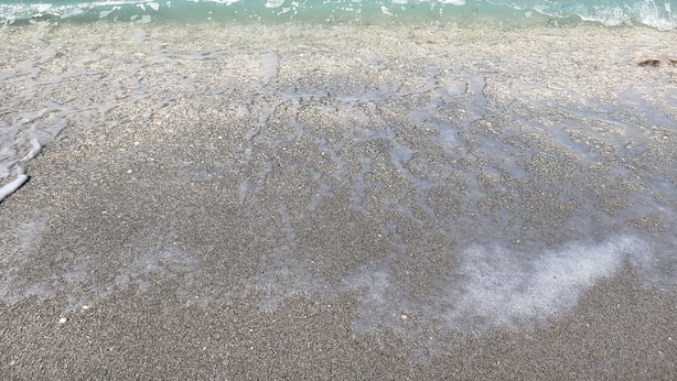 A beach with clear turquoise water and a pebbly shore. - South Gulf Cove 4BR/2BA Heated Pool ,15 mins to the GULF (Port Charlotte)