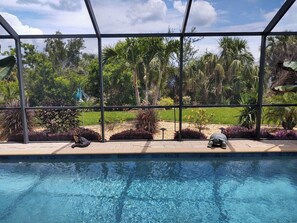 Piscina com vista para um jardim e palmeiras.