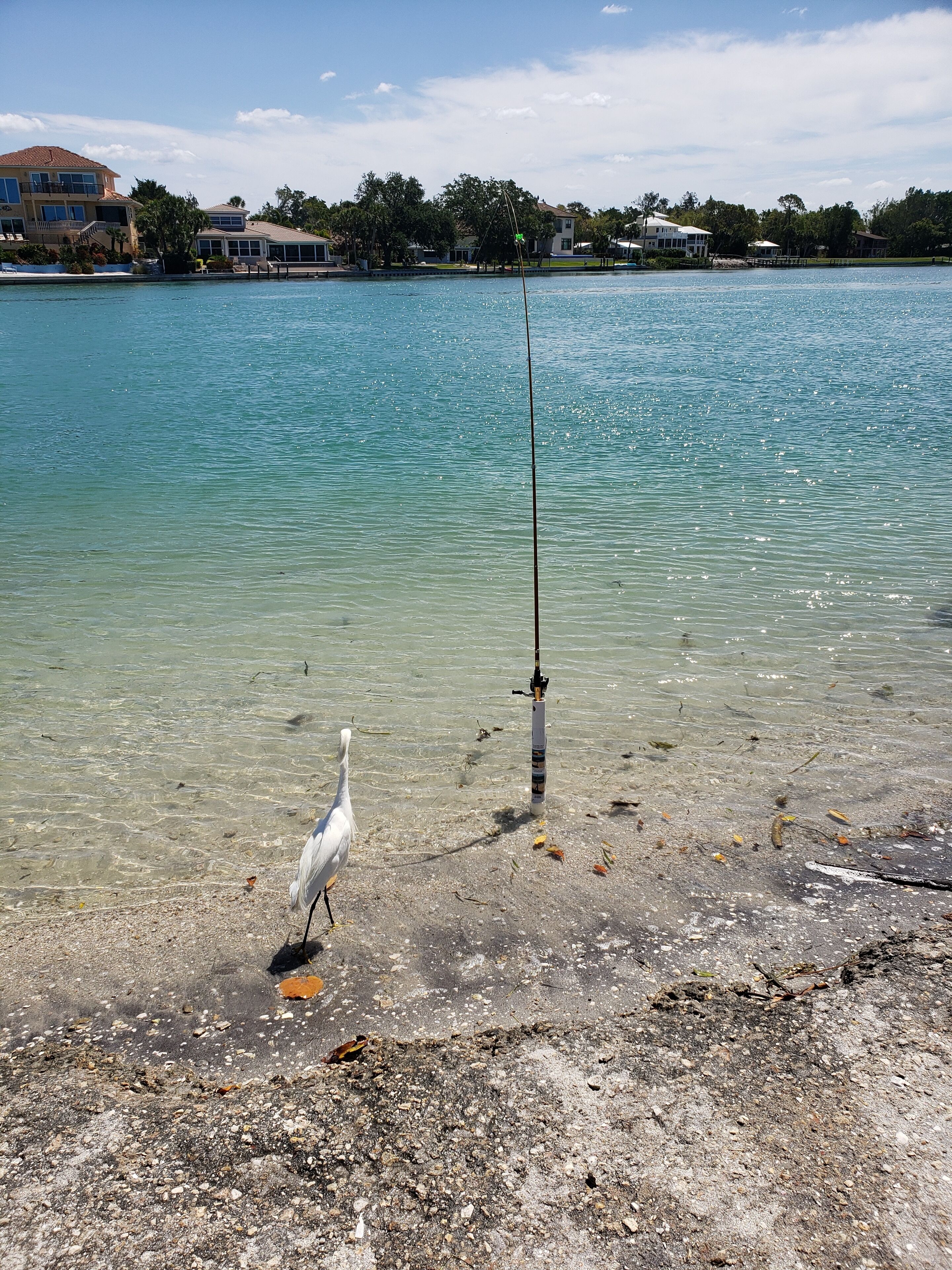 A waterfront property with a clear view of the water, a fishing rod, and a bird on the shore.