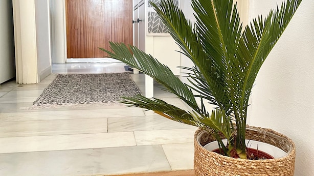 A hallway with a wooden door, a woven plant pot, and a patterned rug. - Chic & central studio in the northern sunburns of Athens  (Agia Paraskevi)