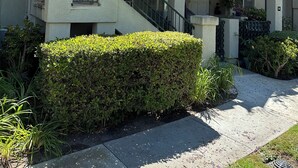 A two-story building with a balcony, a staircase, and a well-maintained hedge. - Prestigous Location within LBUSD. Mid to Long Term Discounts. Views of Foothills (Aliso Viejo)