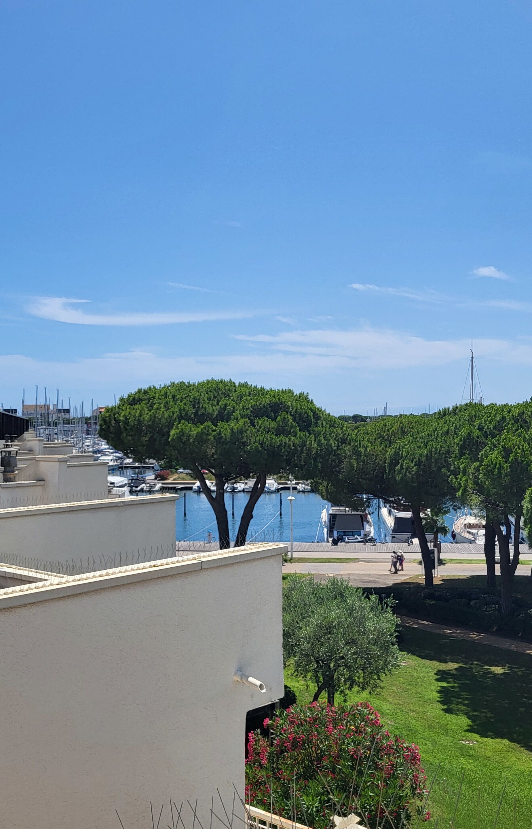 Um cais com barcos atracados, um caminho arborizado e um edifício com fachada branca.
