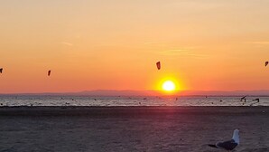 Une scène de plage au coucher du soleil, avec des cerfs-volants dans le ciel et un goéland sur le sable.