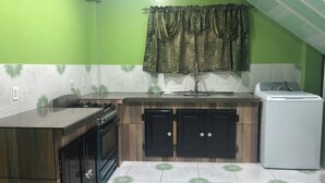 Uma cozinha compacta com fogão a gás, pia e máquina de lavar.