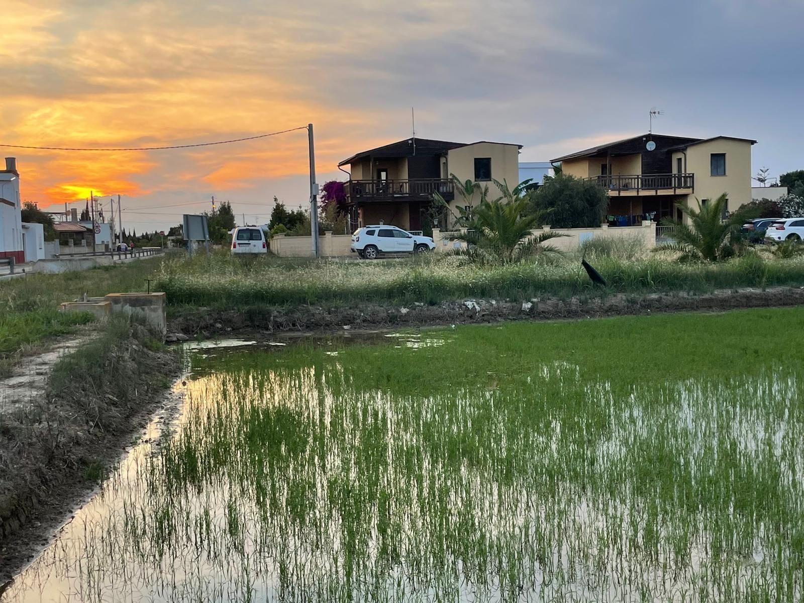 Área da propriedade