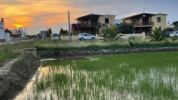 Área da propriedade