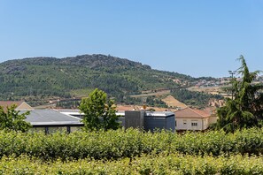 Un quartiere residenziale con case, una collina sullo sfondo e cielo sereno.
