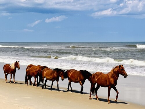 *New* Oceanside,Pool,Walk 2 the beach,No Stairs