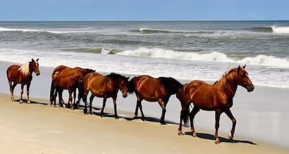 *New* Oceanside,Pool,Walk 2 the beach,No Stairs