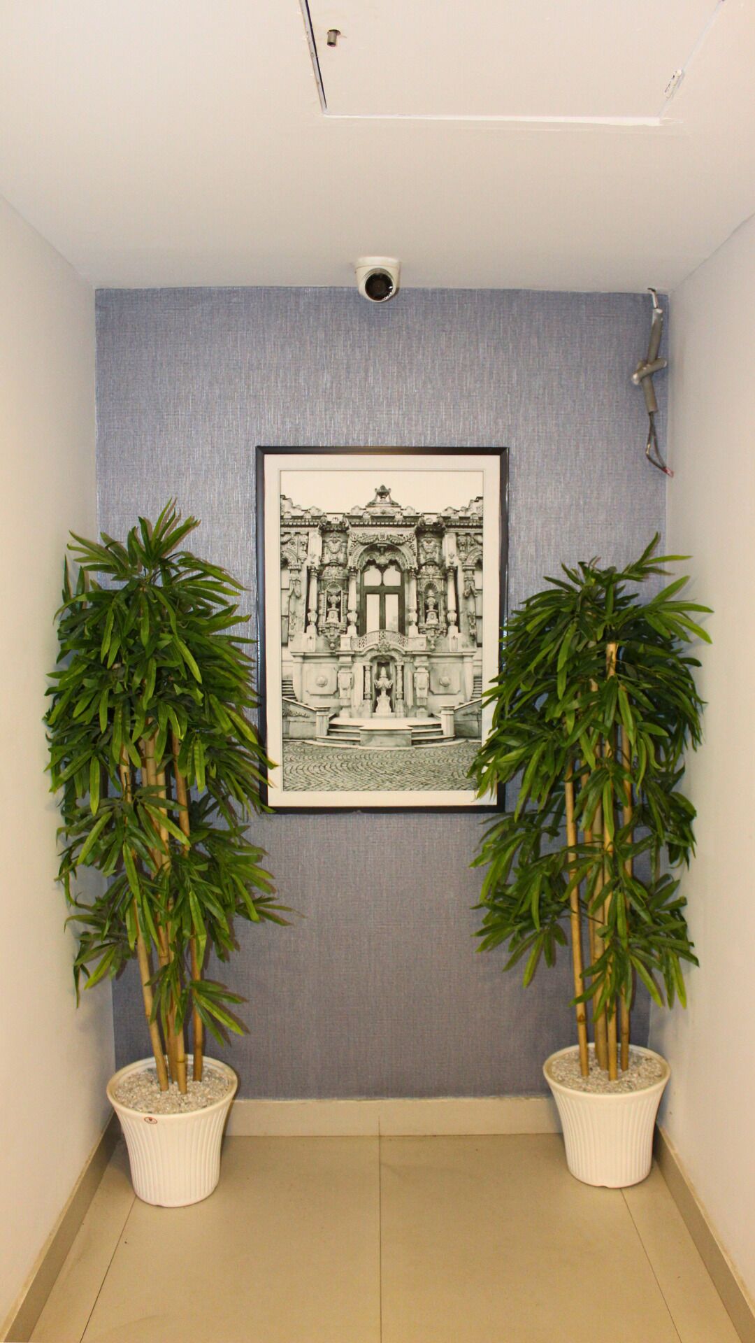 Un pasillo con una fotografía blanco y negro enmarcada de un edificio en la pared, flanqueado por dos plantas de bambú en macetas.