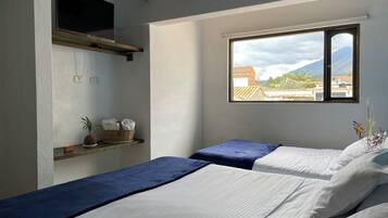 A room with two beds, a window with a view of buildings and mountains, a shelf with a basket and a plant, and a TV mounted on the wall.