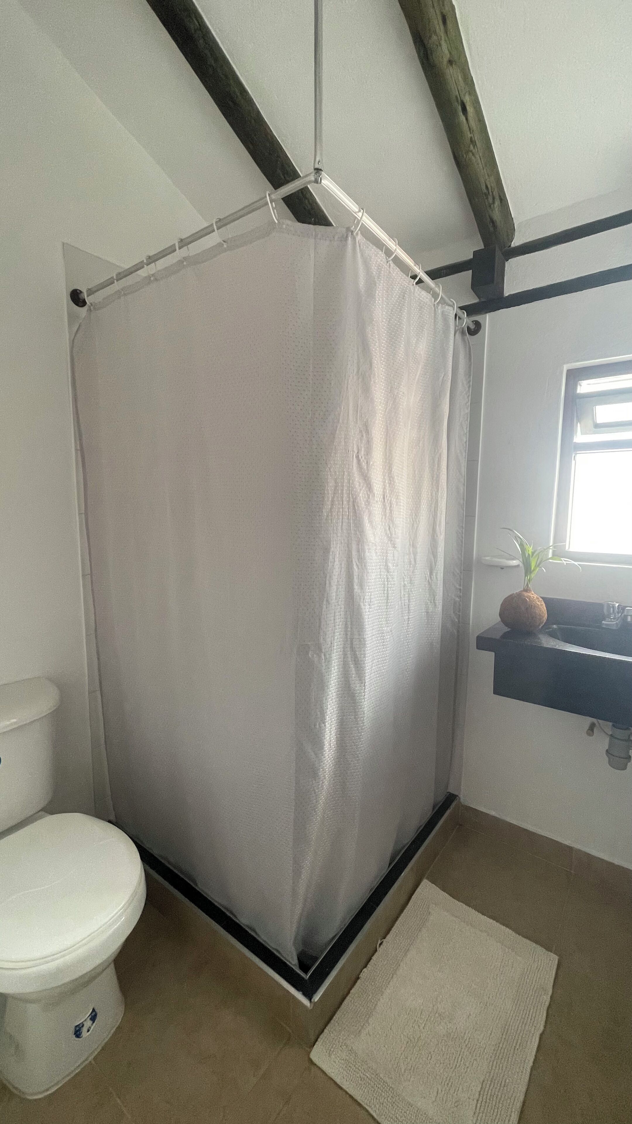 Ein Badezimmer mit Duschvorhang, Toilette, Waschbecken und einer Pflanze auf der Ablagefläche.
