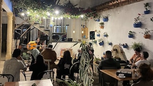 Un área de comedor interior acogedora, con mesas y sillas, rodeada de plantas en macetas y una escalera.