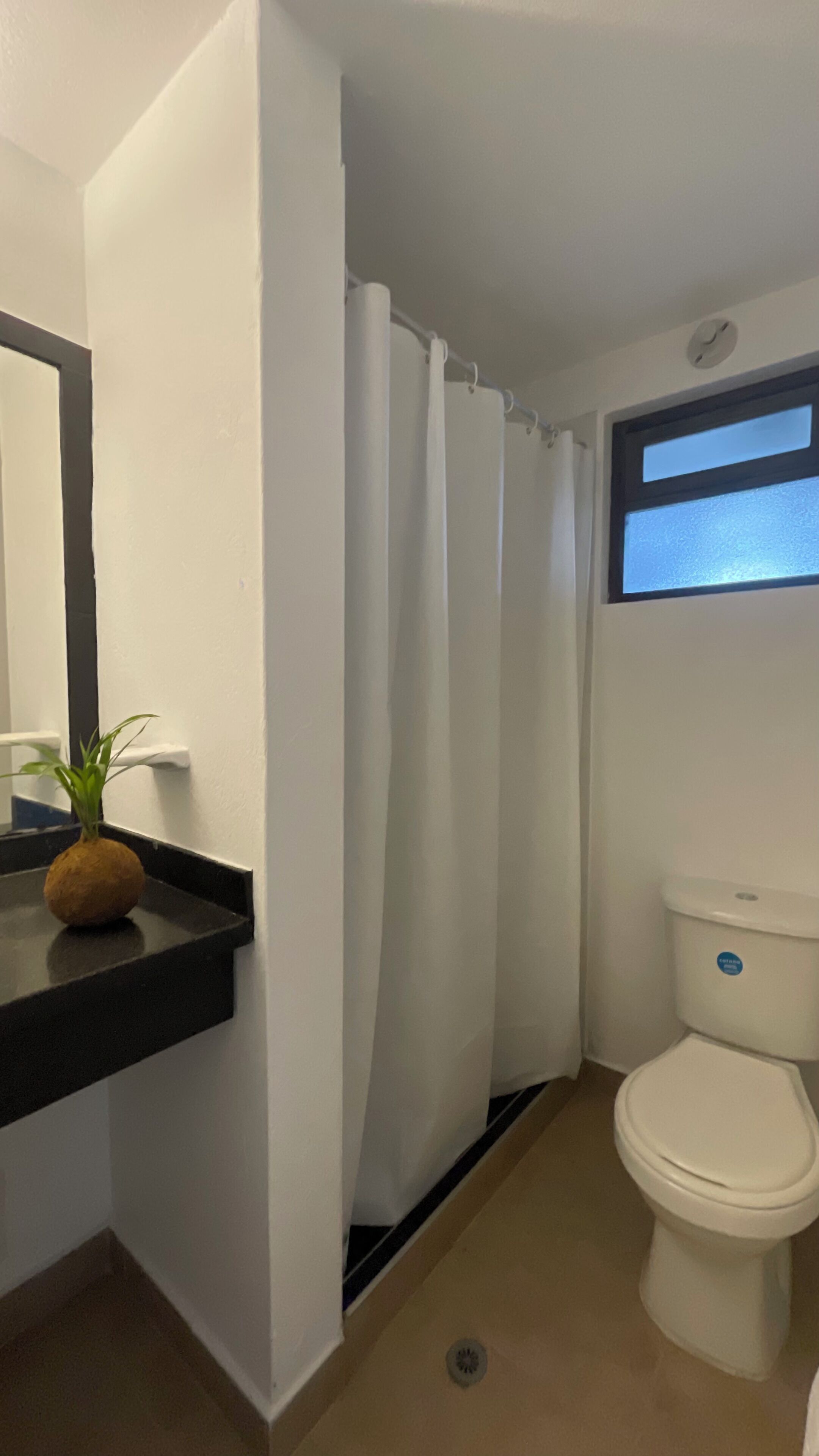 Ein Badezimmer mit Toilette, Waschbecken mit Pflanze und Duschvorhang.