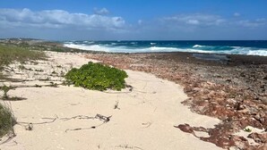 Une plage de sable, avec des rochers et de la végétation.