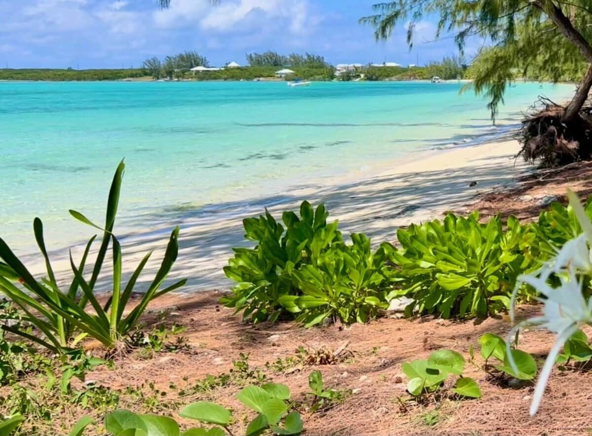 Une plage bordée d’une eau turquoise et limpide, d’une végétation luxuriante et, au loin, d’une côte parsemée de bâtiments.