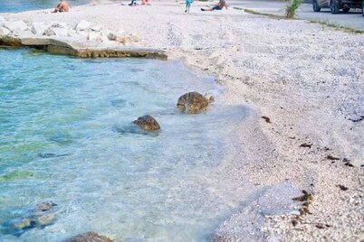 德拉加 - 距離海邊15米 - A3 2 1