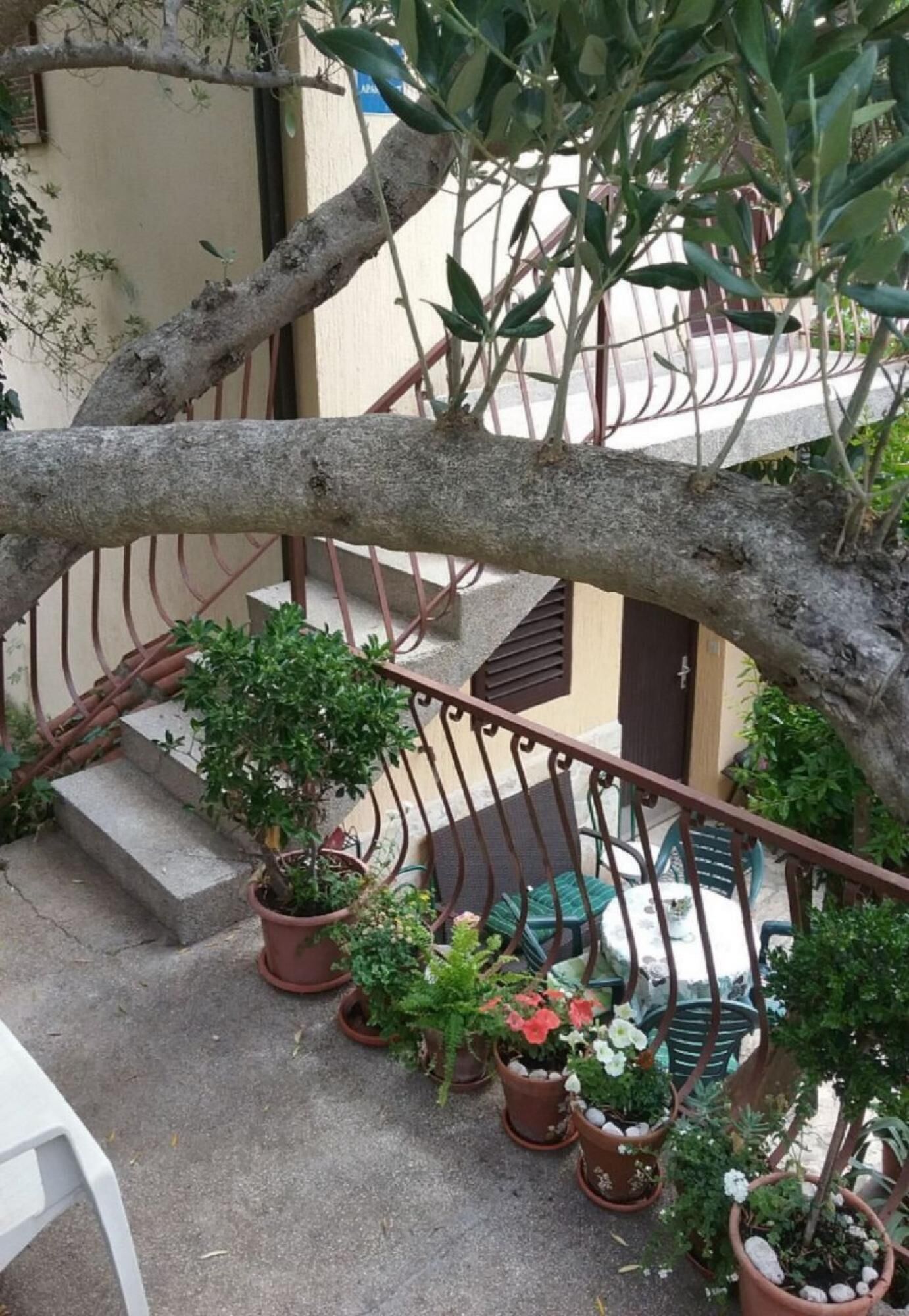 Apartment, Smoking | 1 bedroom